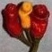 User avatar for David McGowan