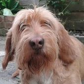 User avatar for Andy Tooke