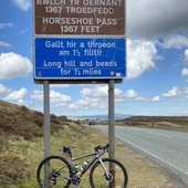 User avatar for Lisa Price