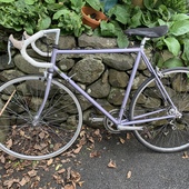 User avatar for Mike Hale