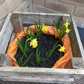 User avatar for Olympia Pachoumi