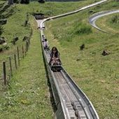 User avatar for Winnie M