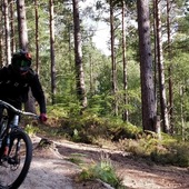 User avatar for Ross McAllister