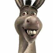User avatar for Donkey Ward