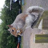 User avatar for Amanda Scarff