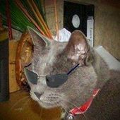 User avatar for Iain Crawford