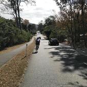 User avatar for Brett Clowes