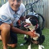 User avatar for Brad Saw