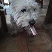 User avatar for Andy Millward