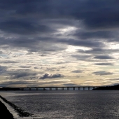 User avatar for Sara Brown