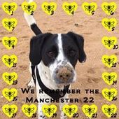 User avatar for Alexandra Dudson