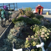 User avatar for Philippa Dolphin