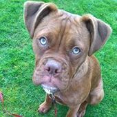 User avatar for Kasia Nova