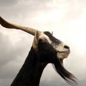 User avatar for Darryl Walker