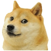 User avatar for Joe Morley