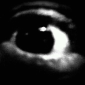 User avatar for Rob P