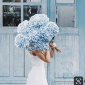 User avatar for Monika P Monika