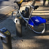 User avatar for Sam Higgins