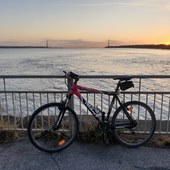 User avatar for Andrew  Guest