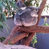 User avatar for Alison Smith