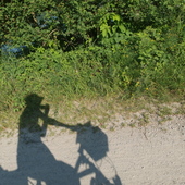 User avatar for Richard Thiel