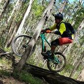 User avatar for Cliff Weier