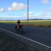 User avatar for Briana Cohen