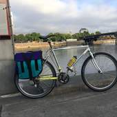 User avatar for Lyndon Julien Sehl