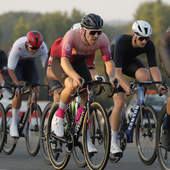 User avatar for Dann Bowdery