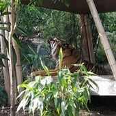 User avatar for Kerry Collins