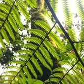 User avatar for Ali Jane