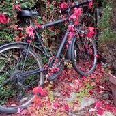 User avatar for Alan Johns