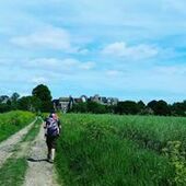 User avatar for Matthew Hicks