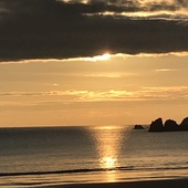 User avatar for Kevin Daly