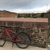 User avatar for Rhona Cameron