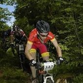 User avatar for Michael Jones