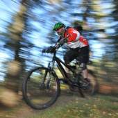 User avatar for Greg Stephen