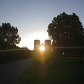 User avatar for Niall Reece