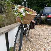 User avatar for Yvonne Spijkerman