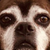 User avatar for Louisa Taylor