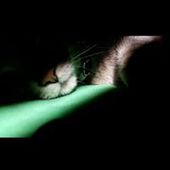 User avatar for Lauretta Valmarana