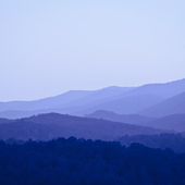 User avatar for George Miko