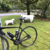 User avatar for Ste Adair