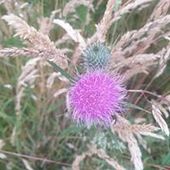 User avatar for Carlyn Jack