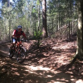 User avatar for Stefan Knapen