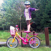 User avatar for Wilma De Goede