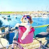 User avatar for Georgia Fareday