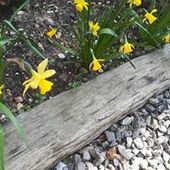 User avatar for Ceri Reece