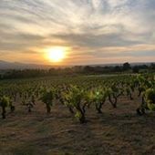 User avatar for Carola Huffmeijer