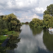 User avatar for Cora Putters